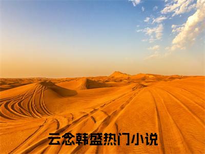 主角叫云念韩盛的小说在哪阅读云念韩盛是主角的小说