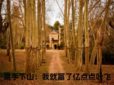高手下山：我就富了亿点点叶飞（高手下山：我就富了亿点点叶飞）全集免费阅读无弹窗_高手下山：我就富了亿点点叶飞最新章节列表