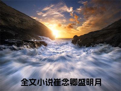 崔念卿盛明月（崔念卿盛明月）全文免费阅读无弹窗大结局_崔念卿盛明月小说全文免费阅读最新章节列表_笔趣阁