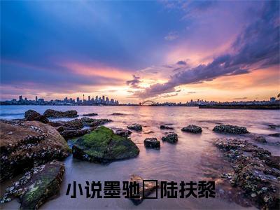 墨驰徹陆扶黎（昔日长缨落马归）全文免费阅读无弹窗大结局_昔日长缨落马归最新章节列表_笔趣阁（昔日长缨落马归）