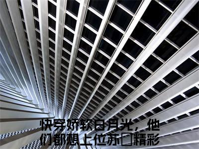 快穿娇软白月光，他们都想上位苏妧全文免费阅读(快穿娇软白月光，他们都想上位苏妧)全文免费阅读无弹窗大结局(快穿娇软白月光，他们都想上位苏妧小说免费)最新章节列表 笔趣阁(快穿娇软白月光，他们都想上位苏妧)