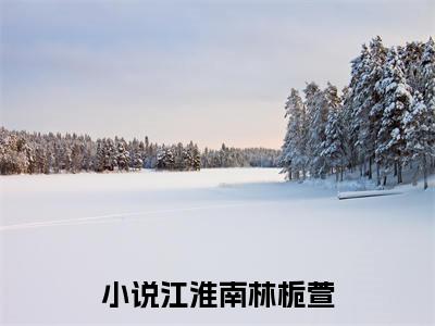 江淮南林栀萱是哪部小说的主角-《江淮南林栀萱》全文无弹窗完整版阅读