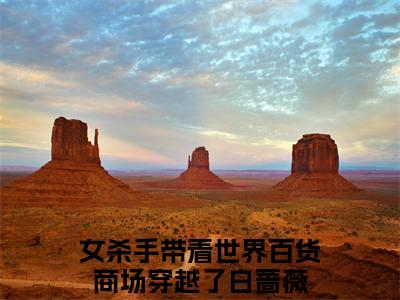 女杀手带着世界百货商场穿越了白蔷薇全文免费阅读_（女杀手带着世界百货商场穿越了白蔷薇免费阅读无弹窗）女杀手带着世界百货商场穿越了白蔷薇最新章节在线阅读笔趣阁