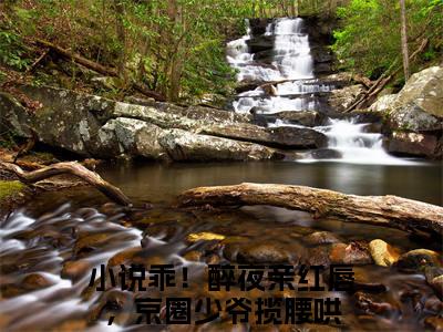乖！醉夜亲红唇，京圈少爷揽腰哄抖音完结版阅读《邓芫芫周聿》最新章节目录好书推荐_（乖！醉夜亲红唇，京圈少爷揽腰哄）