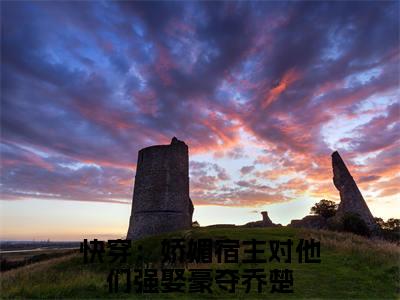 主角是快穿：娇媚宿主对他们强娶豪夺乔楚的小说叫什么名字快穿：娇媚宿主对他们强娶豪夺乔楚-老书虫书荒推荐热点小说（快穿：娇媚宿主对他们强娶豪夺乔楚）