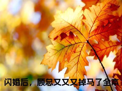季清霖顾北笙小说全文免费阅读无弹窗大结局_闪婚后，顾总又又又掉马了最新章节列表_笔趣阁