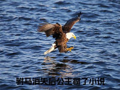 慕容棠孟砚辞全文免费阅读无弹窗大结局_（慕容棠孟砚辞）最新章节列表笔趣阁（驸马消失后公主疯了）