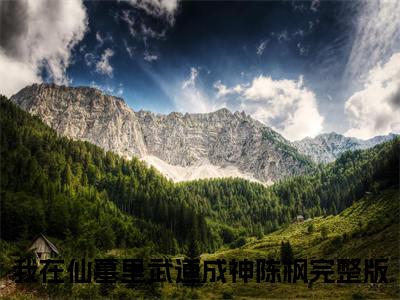我在仙墓里武道成神陈枫(我在仙墓里武道成神陈枫)全文免费阅读无弹窗大结局_我在仙墓里武道成神陈枫（我在仙墓里武道成神陈枫全文）最新章节列表笔趣阁（我在仙墓里武道成神陈枫）