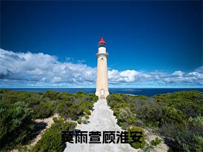 莫雨萱顾淮安小说（莫雨萱顾淮安）小说全文无删减版在线阅读_莫雨萱顾淮安小说最新章节列表