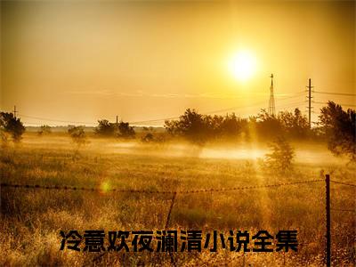 冷意欢夜澜清（冷意欢夜澜清）全文免费阅读无弹窗大结局_冷意欢夜澜清小说全文免费阅读最新章节列表_笔趣阁（冷意欢夜澜清）