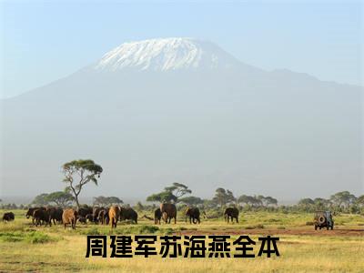 周建军苏海燕小说(周建军苏海燕)全文免费阅读无弹窗大结局 周建军苏海燕小说全文无删减版