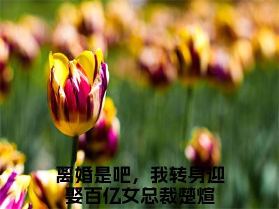 离婚是吧，我转身迎娶百亿女总裁楚煊（离婚是吧，我转身迎娶百亿女总裁楚煊）全文免费阅读无弹窗大结局_离婚是吧，我转身迎娶百亿女总裁楚煊免费阅读最新章节列表_笔趣阁