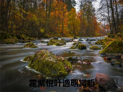霍紫悦叶逸明（霍紫悦叶逸明）全文免费阅读无弹窗_霍紫悦叶逸明最新小说_笔趣阁（霍紫悦叶逸明）