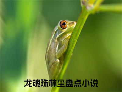 龙魂珠林尘小说全文（龙魂珠林尘）全文免费阅读无弹窗大结局_龙魂珠林尘小说免费最新章节列表_笔趣阁（龙魂珠林尘）