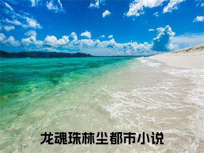 龙魂珠林尘（龙魂珠林尘）小说全文无广告阅读-龙魂珠林尘小说赏析