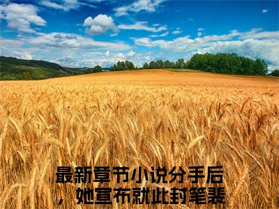 分手后，她宣布就此封笔裴佳怡全文免费阅读_（分手后，她宣布就此封笔裴佳怡免费阅读无弹窗）分手后，她宣布就此封笔裴佳怡最新章节在线阅读笔趣阁