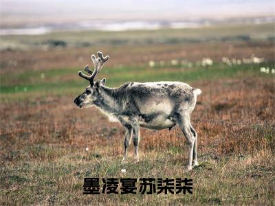 (番外)+(全文)墨凌宴苏柒柒后续+番外小说免费下载阅读墨凌宴苏柒柒后续+番外小说最新章节列表_笔趣阁（墨凌宴苏柒柒后续+番外）