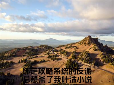 绑定攻略系统的反派总想杀了我叶沫全文免费阅读-小说绑定攻略系统的反派总想杀了我叶沫大结