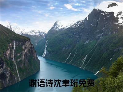 谢语诗沈聿珩（谢语诗沈聿珩）全文免费阅读无弹窗大结局_谢语诗沈聿珩最新章节列表