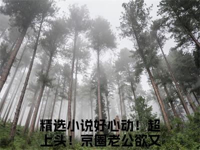 好心动！超上头！京圈老公欲又撩（慕栀陆景洲）全文免费阅读无弹窗大结局_好心动！超上头！京圈老公欲又撩免费最新章节列表_笔趣阁（慕栀陆景洲）