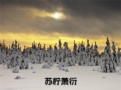 主角叫苏柠萧衍的小说-苏柠萧衍最新章节在线阅读