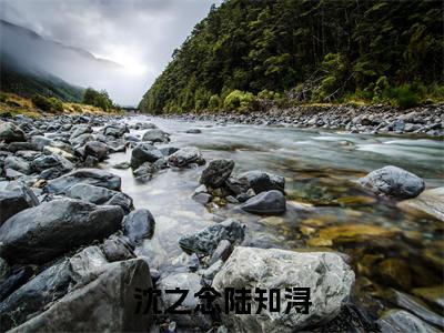 沈之念陆知浔全文（沈之念陆知浔）抖音热推小说全集无删减_沈之念陆知浔免费最新章节列表_笔趣阁