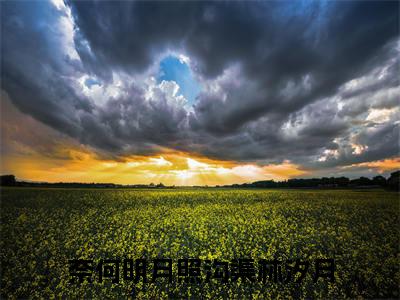 言情小说榜单奈何明月照沟渠林汐月阅读全文（奈何明月照沟渠林汐月）-奈何明月照沟渠林汐月完整版免费小说