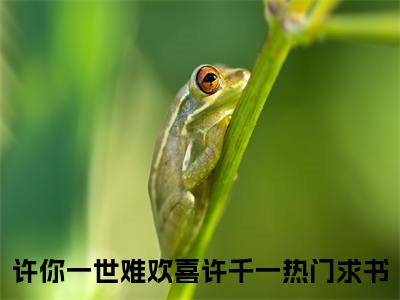 许你一世难欢喜许千一小说（许你一世难欢喜许千一全文完整版免费阅读）_许你一世难欢喜许千一小说免费最新章节列表_笔趣阁