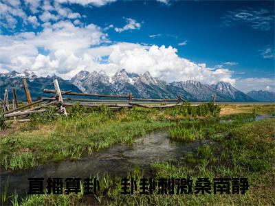 直播算卦，卦卦刺激桑南静 全文免费阅读无弹窗大结局-直播算卦，卦卦刺激桑南静全文无弹窗免费阅读大结局