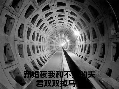 《新婚夜我和不熟的夫君双双掉马了完整小说》冷燃玉韩行止完结版全章节阅读