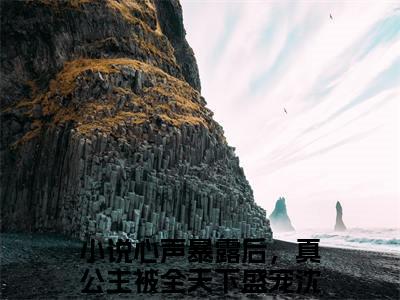 心声暴露后，真公主被全天下盛宠沈青棠(心声暴露后，真公主被全天下盛宠沈青棠)抖音热推小说全集无删减_(心声暴露后，真公主被全天下盛宠沈青棠免费阅读全文大结局)最新章节列表_笔趣阁