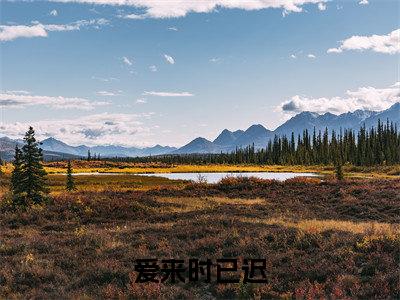 爱来时已迟（池霆序梁梦颜）小说免费阅读_爱来时已迟精选小说全文阅读（池霆序梁梦颜）