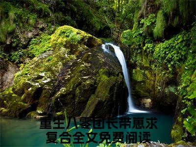 孟锦榆顾翊琛全文小说（重生八零团长带崽求复合）全文阅读-孟锦榆顾翊琛在线小说免费阅读