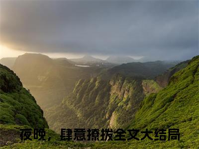 秦夜林清晚小说夜晚，肆意撩拨完整版阅读夜晚，肆意撩拨全文在线赏析
