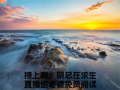 沈星晚明湛小说免费阅读撩上瘾，明总在求生直播追老婆全文无弹窗试读