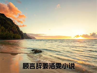 顾言辞姜洛雯小说全文免费阅读正版 顾言辞姜洛雯免费阅读无弹窗