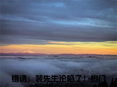 错诱，裴先生沦陷了！（黎游裴筝）全文免费阅读无弹窗大结局_（黎游裴筝）错诱，裴先生沦陷了！全文免费完结版阅读