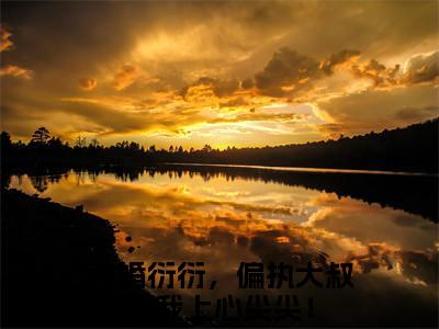 （苏团厉司寒）全文免费阅读无弹窗大结局_浅婚衍衍，偏执大叔宠我上心尖尖！最新章节列表_笔趣阁