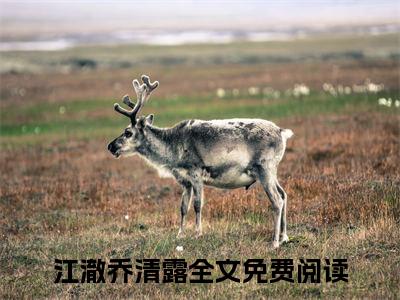 江澈乔清露阅读无弹窗大结局_（江澈乔清露阅读无弹窗）最新章节列表_笔趣阁（江澈乔清露）