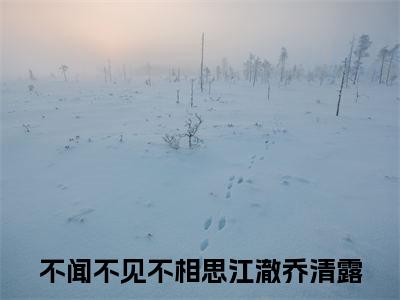 （热推新书）美文摘抄（不闻不见不相思）主人公为（江澈乔清露）的小说不闻不见不相思大结局全文免费阅读_笔趣阁