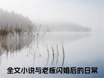 与老板闪婚后的日常的小说免费阅读（容嫣迟景渊小说免费阅读）全文免费阅读大结局-容嫣迟景渊热门榜单好书推荐