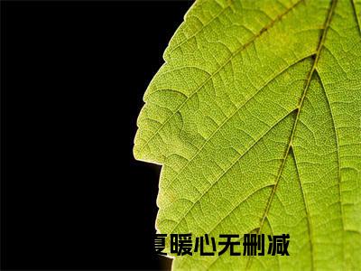 （热推新书）爱劫难逃：新妻离婚无效完整版免费小说无弹窗阅读_爱劫难逃：新妻离婚无效最新章节列表_笔趣阁（洛祁铭夏暖心）