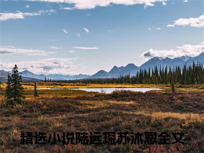 陆远琛苏沐恩小说（陆远琛苏沐恩）全文免费阅读_陆远琛苏沐恩小说最新章节列表笔趣阁小说