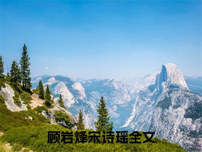 热门小说推荐顾岩烽宋诗瑶-顾岩烽宋诗瑶全文免费大结局