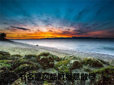 风起时爱意散尽全文免费阅读_（秦臻林青风免费阅读无弹窗）秦臻林青风最新章节列表笔趣阁
