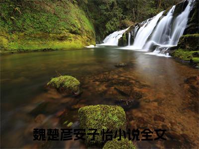 魏楚彦安子怡免费阅读最新章节无弹窗 魏楚彦安子怡完整版小说在线阅读