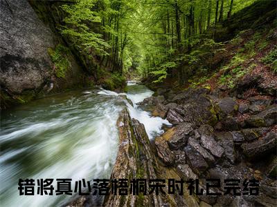 错将真心落梧桐宋时礼最新完结小说阅读-错将真心落梧桐宋时礼小说收藏阅读
