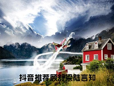 女生看的小说推荐顾舒染陆言知-顾舒染陆言知小说免费阅读