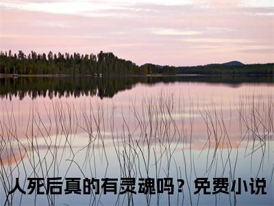 陈晚席江苏宁（人死后真的有灵魂吗？）全文免费阅读无弹窗大结局-人死后真的有灵魂吗？（陈晚席江苏宁）小说全文免费阅读最新章节列表
