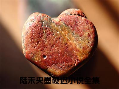 陆未央墨砚迟全文免费在线阅读_（陆未央墨砚迟全文免费阅读无弹窗大结局）